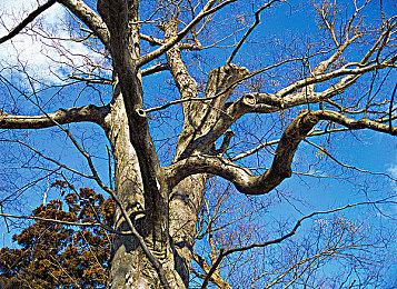 开启试玩！《辛特堡传说》制作人登顶雪山中文问好！